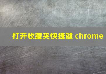 打开收藏夹快捷键 chrome